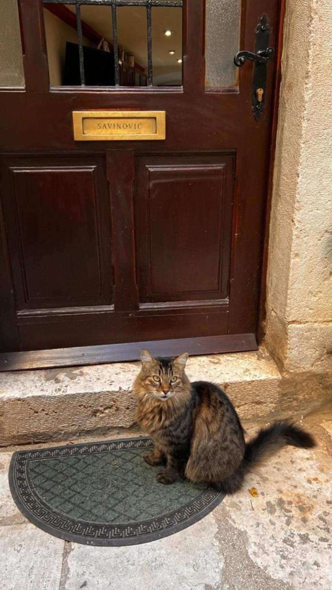 Crocant House Ντουμπρόβνικ Εξωτερικό φωτογραφία